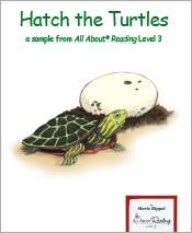 Hatch-Turtles-175x213.jpg